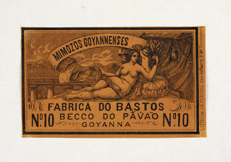 vizualizar o documento on line